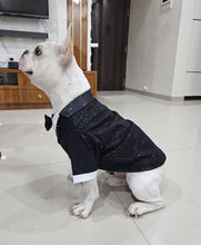 Load image into Gallery viewer, Birthday Shimmer Tuxedo For Dogs