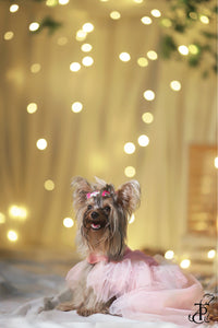 Pretty In Pink Ruffled Dress