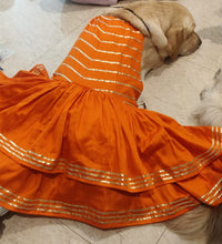 Load image into Gallery viewer, Orange Embellished Gotapati Dress For Dogs