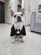 Load image into Gallery viewer, Birthday Shimmer Tuxedo For Dogs