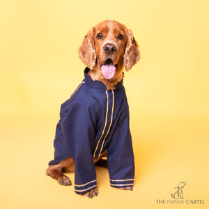 Classic Navy Blue Gotapati Kurta For Dogs