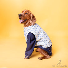 Load image into Gallery viewer, Mosaic Print With Golden Zari Koti And Navy Blue Kurta For Dogs