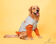 Load image into Gallery viewer, Mint Blue Floral Aztec Koti With Orange Kurta For Dogs