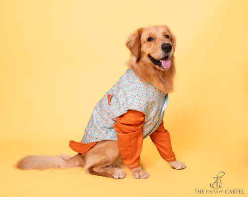 Mint Blue Floral Aztec Koti With Orange Kurta For Dogs