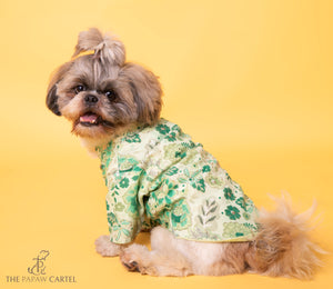 Floral Green Zari Sherwani For Dogs