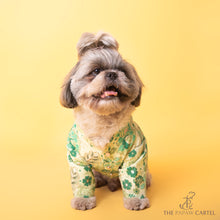 Load image into Gallery viewer, Floral Green Zari Sherwani For Dogs