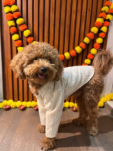 Chikankari Sherwani For Dogs