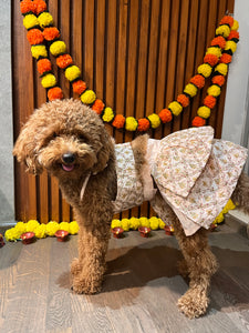 Embroidered Chanya Choli For Dogs