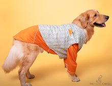 Load image into Gallery viewer, Mint Blue Floral Aztec Koti With Orange Kurta For Dogs