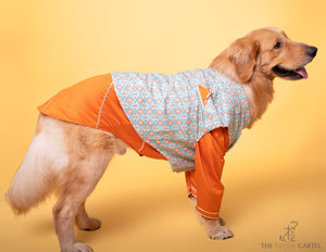 Mint Blue Floral Aztec Koti With Orange Kurta For Dogs