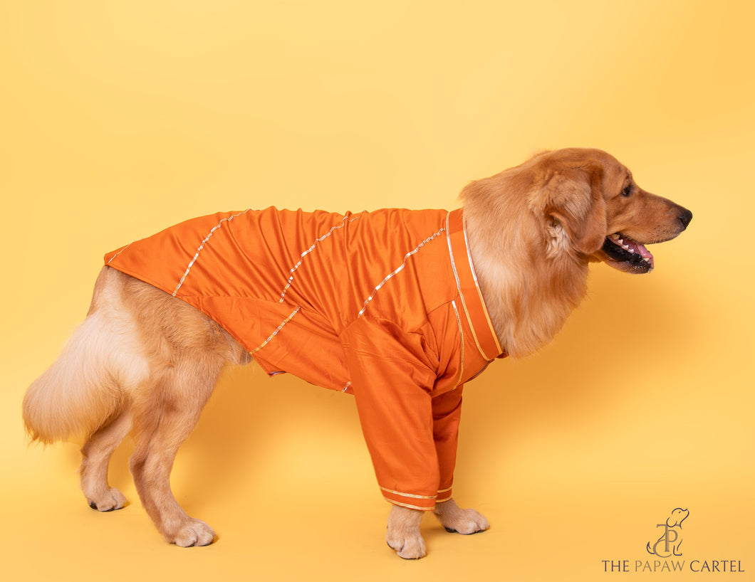 Festive Orange Gotapati Kurta For Dogs