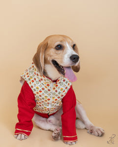 Red Kurta With Embellished Gota Pati Work