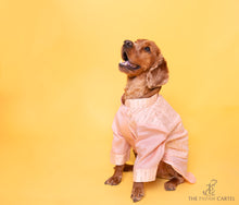 Load image into Gallery viewer, Baby Pink Sequin Indo Western For Dogs