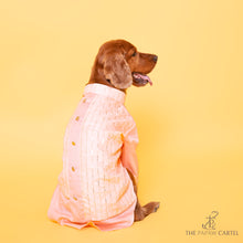 Load image into Gallery viewer, Baby Pink Sequin Indo Western For Dogs