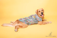 Load image into Gallery viewer, Indo Blue Floral Sleeveless Jacket With Pocket Square For Dogs