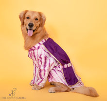 Load image into Gallery viewer, Purple Tie Dye Kurta With Draped Dupatta For Dogs