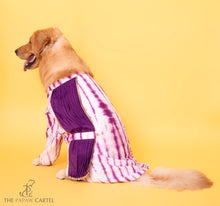 Load image into Gallery viewer, Purple Tie Dye Kurta With Draped Dupatta For Dogs