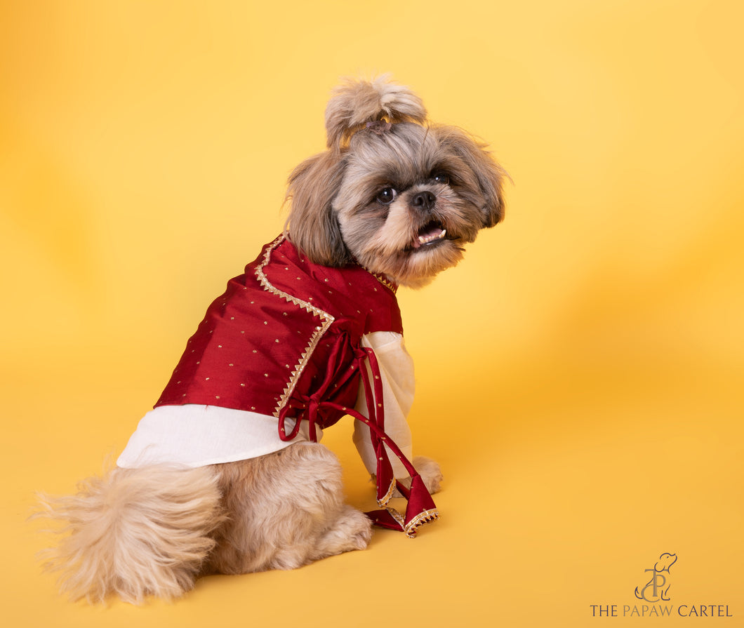 Ethnic Maroon Red Tied Up Koti And Cotton Kurta Set For Dogs