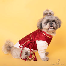 Load image into Gallery viewer, Ethnic Maroon Red Tied Up Koti And Cotton Kurta Set For Dogs