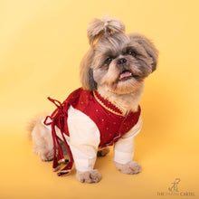 Load image into Gallery viewer, Ethnic Maroon Red Tied Up Koti And Cotton Kurta Set For Dogs