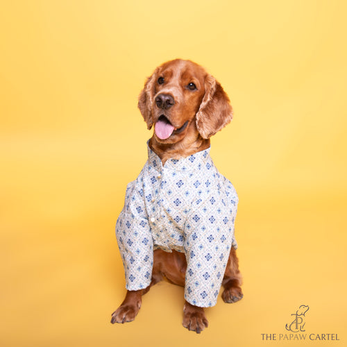 Mosaic Print Sherwani For Dogs