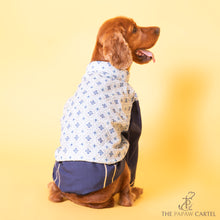 Load image into Gallery viewer, Mosaic Print With Golden Zari Koti And Navy Blue Kurta For Dogs