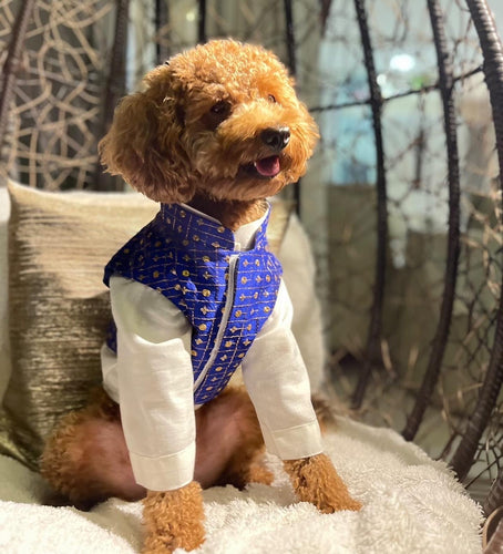 Embroiderd Koti and kurta For Dogs