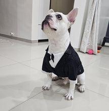 Load image into Gallery viewer, Birthday Shimmer Tuxedo For Dogs