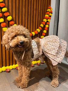 Embroidered Chanya Choli For Dogs