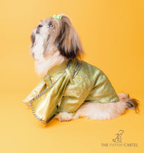 Load image into Gallery viewer, Green Mirror Sherwani With Dupatta For Dogs