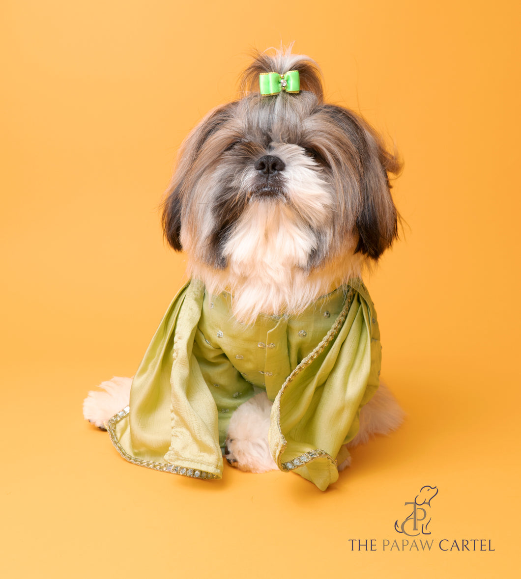 Green Mirror Sherwani With Dupatta For Dogs