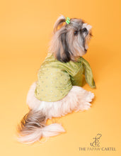 Load image into Gallery viewer, Green Mirror Sherwani With Dupatta For Dogs