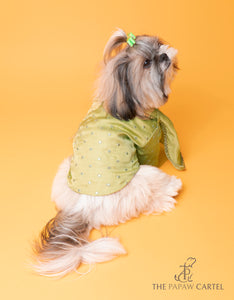 Green Mirror Sherwani With Dupatta For Dogs