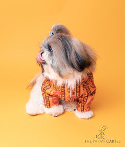 Om Cotton Kurta For Dogs