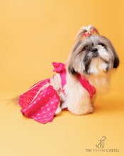 Load image into Gallery viewer, Crossbody Choli With Hot Pink Embroidered Lehenga For Dogs