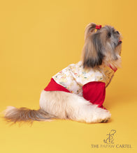 Load image into Gallery viewer, Brocade Zari Koti With Red Gotapati Kurta For Dogs