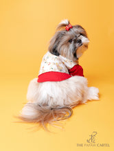 Load image into Gallery viewer, Brocade Zari Koti With Red Gotapati Kurta For Dogs