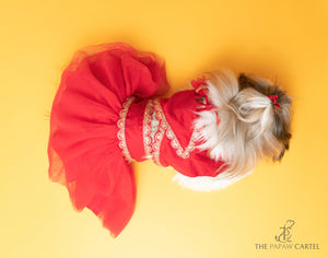 Embellished Red Chanya Choli For Dogs