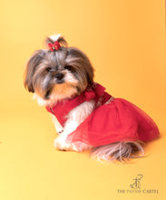 Load image into Gallery viewer, Embellished Red Chanya Choli For Dogs