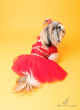 Load image into Gallery viewer, Embellished Red Chanya Choli For Dogs