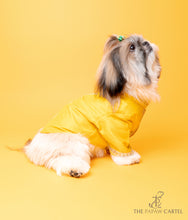 Load image into Gallery viewer, Silk Yellow Gotapati Kurta For Dogs