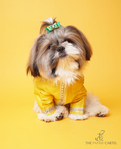 Silk Yellow Gotapati Kurta For Dogs