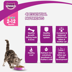 Whiskas Mackerel Junior Dry Cat Food