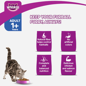 Whiskas Skin and Coat Adult Dry Cat Food