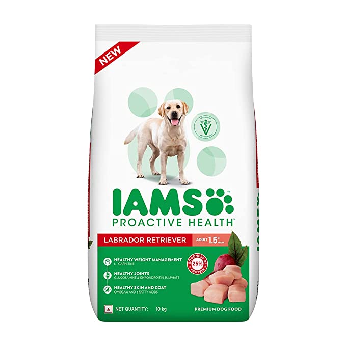 IAMS adult labrador dog dry food