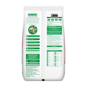 IAMS adult labrador dog dry food