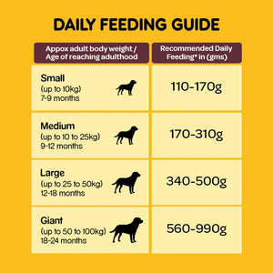 Pedigree meat and rice adult dog dry food