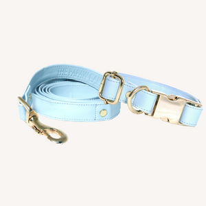 TPC Paw -Der  Blue Leash