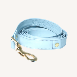 TPC Paw -Der  Blue Leash