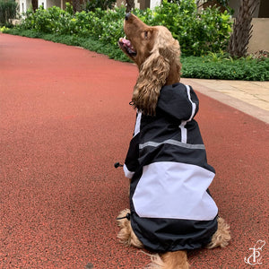 Black Panther Dog Raincoat